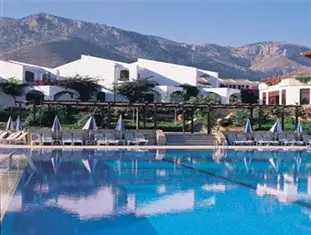 د اولیو تری